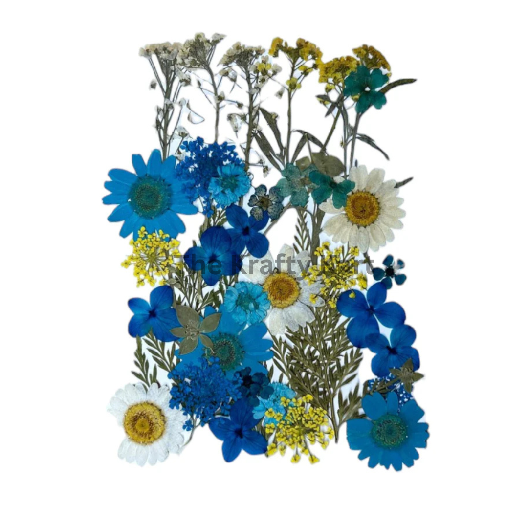 Pressed Flower (I)