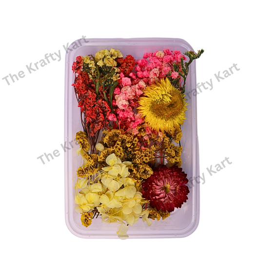 Dry Flower Box (G)
