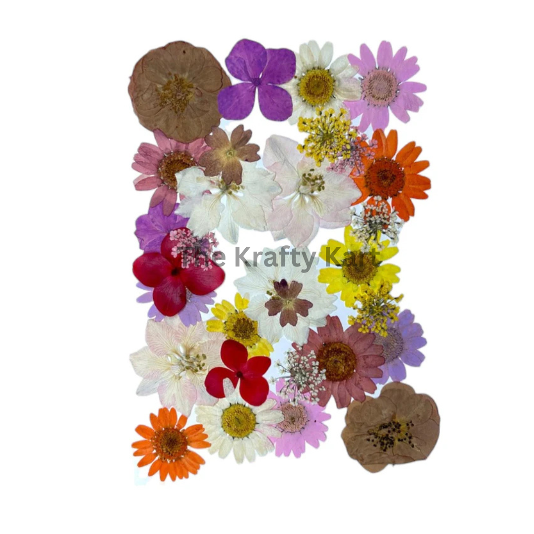 Pressed Flower (O)