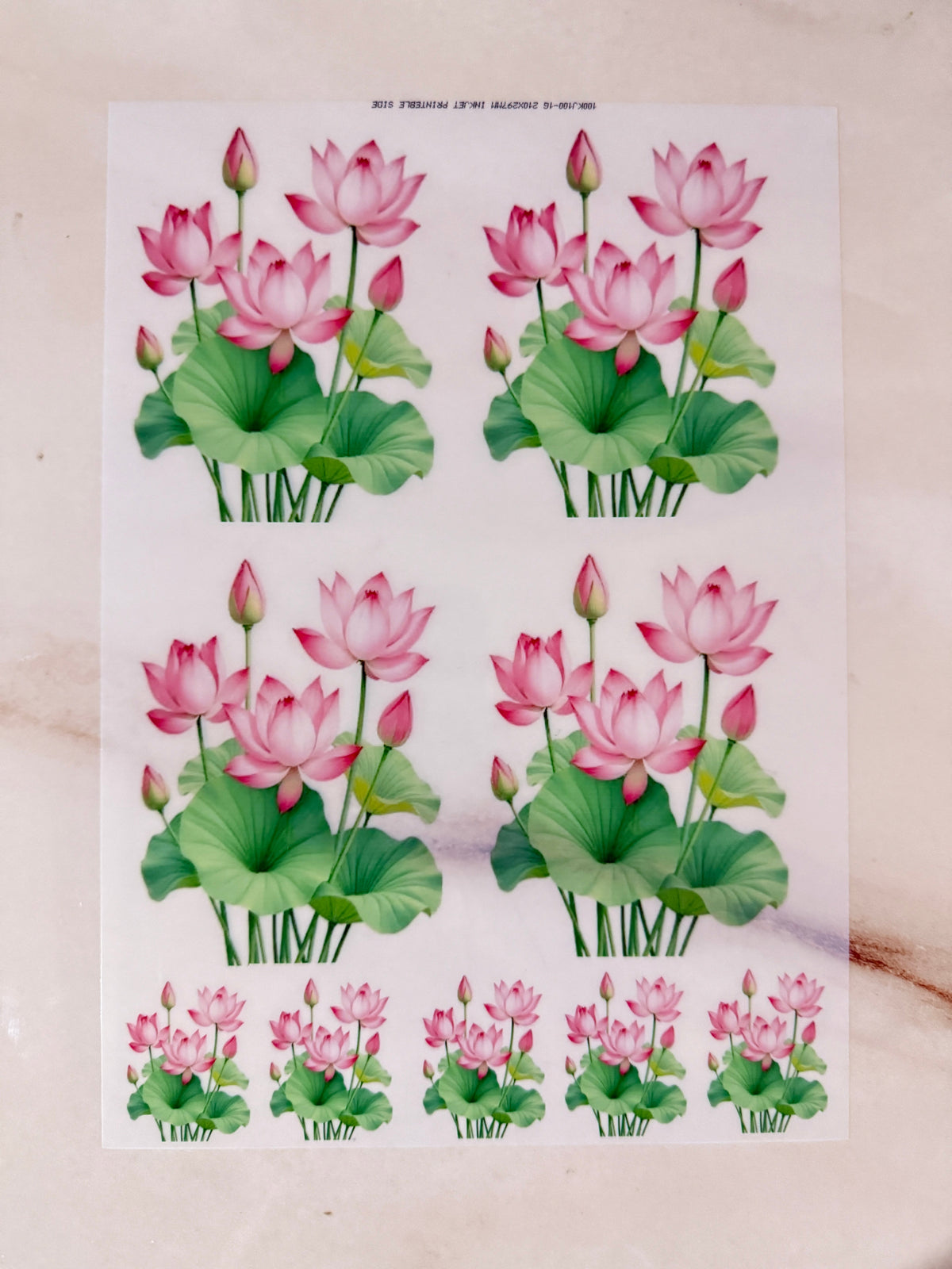 A4 Insert Sheet - Lotus (C)