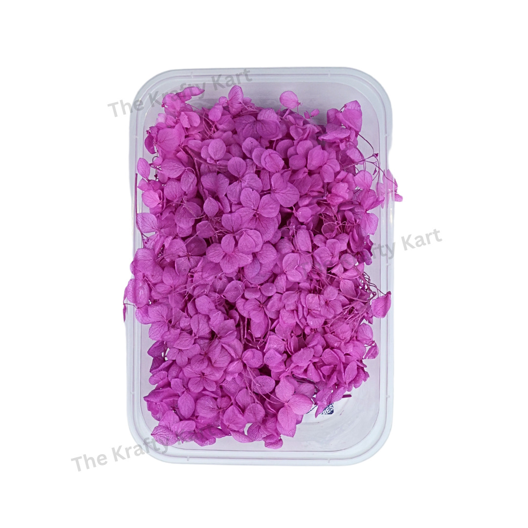 Hydregans Flower Box (Purple)