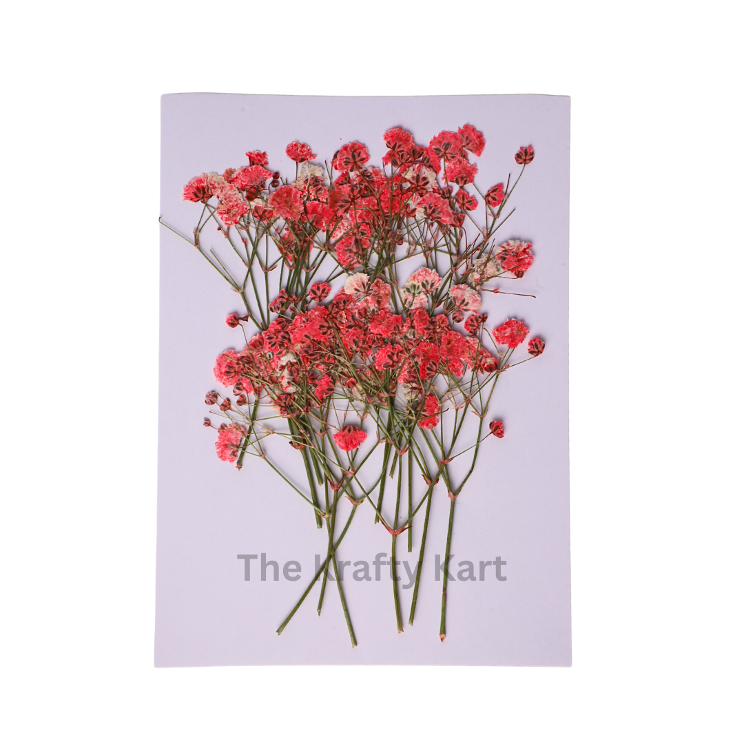 Baby Breath - Red
