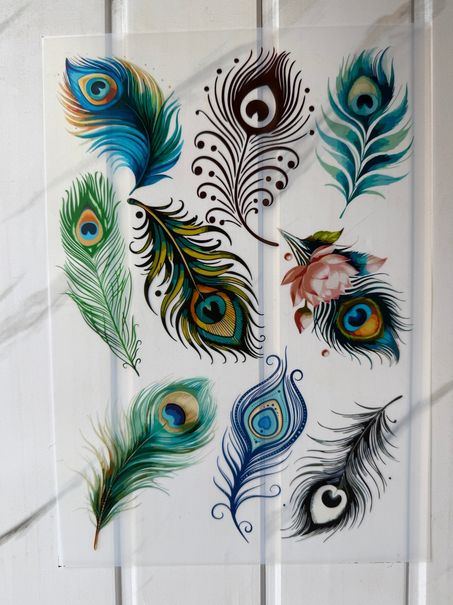 Insert Sheet - Morpankh (A)