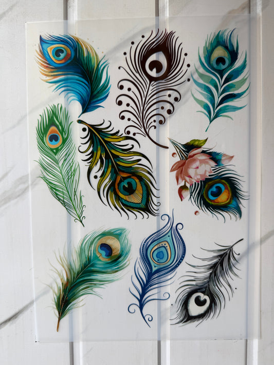 Insert Sheet - Morpankh (A)