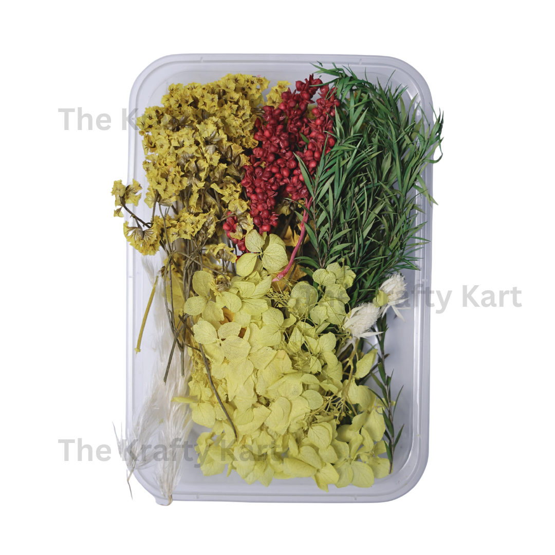 Light Yellow Dry Flower Box