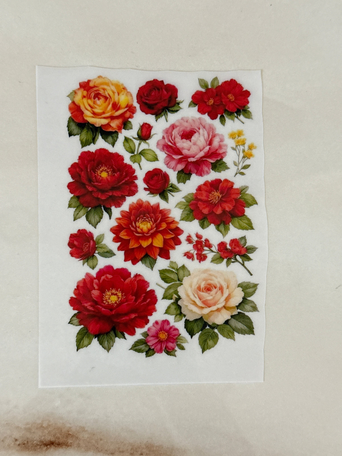 Insert Sheet - Flower (G)