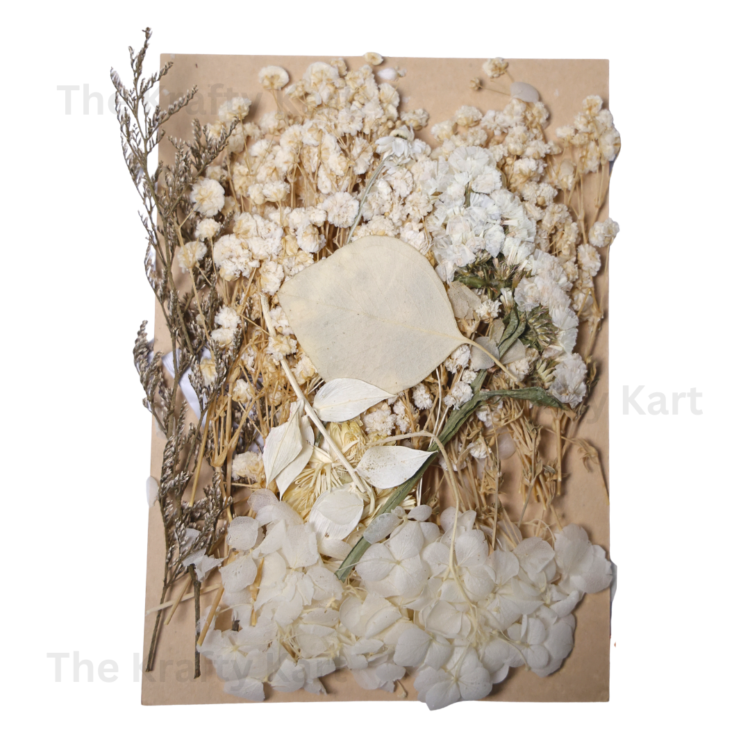 White Dry Flower Packet