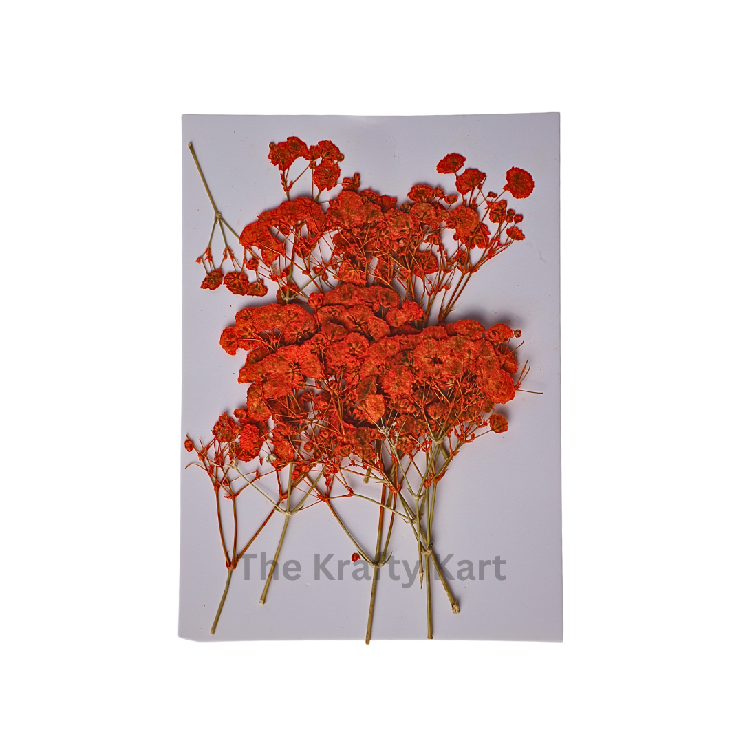 Baby Breath - Orange