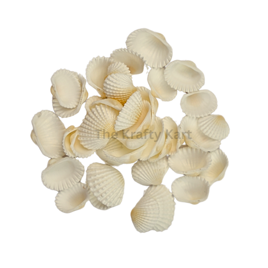 Seashells (I)