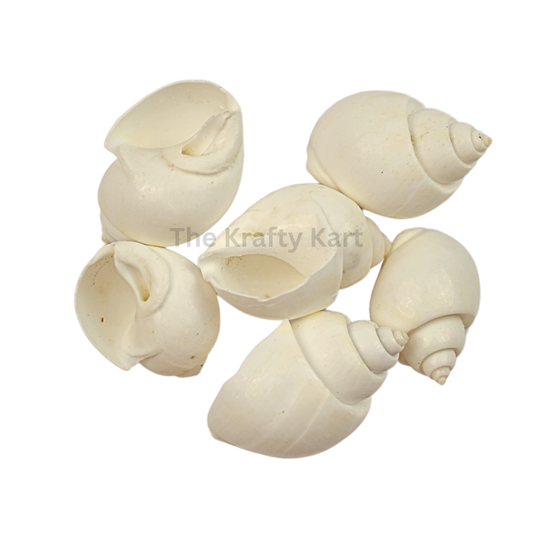 Seashells (J)