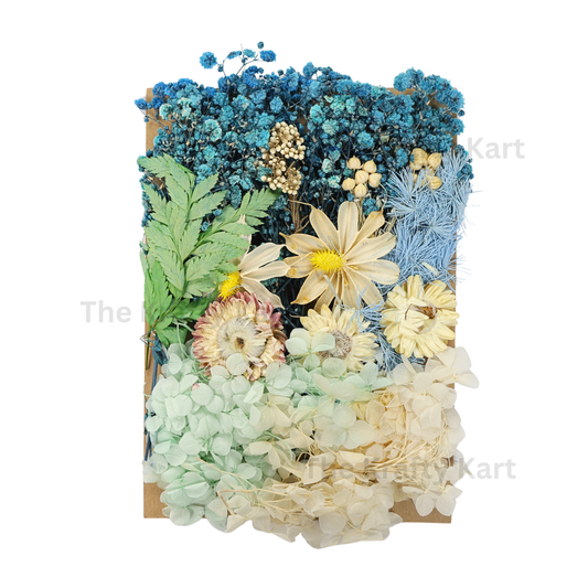 Dry Flower Packet (R)