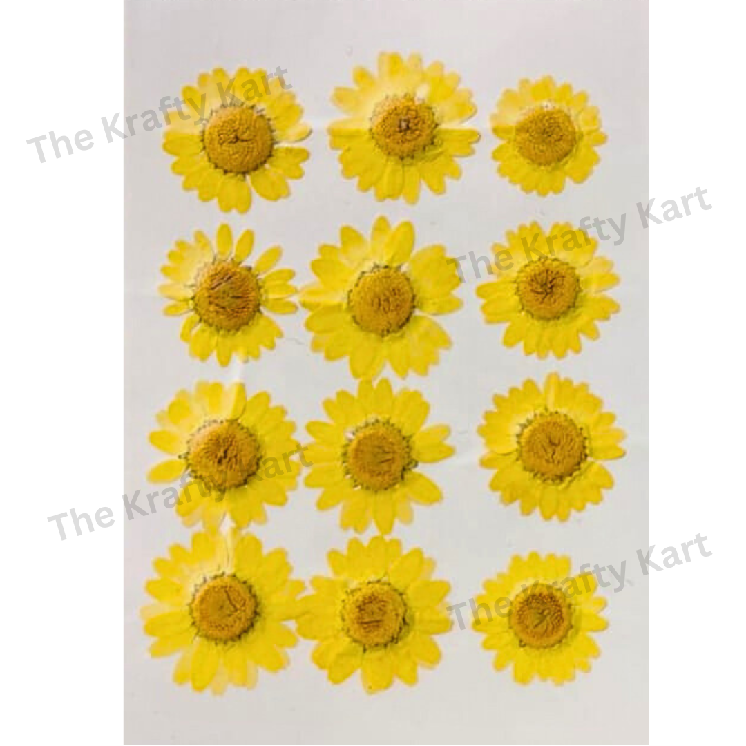 Daisy Flower - Lemon Yellow