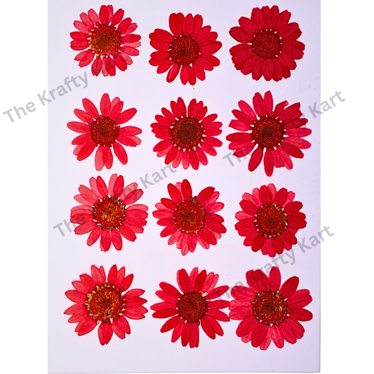 Daisy Flower - Red
