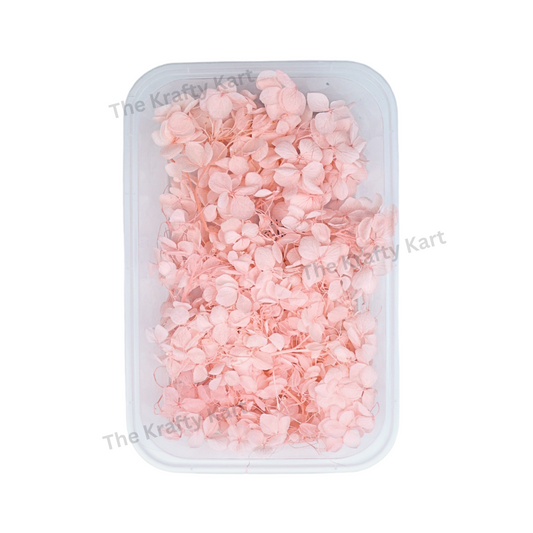 Hydregans Flower Box (Pink)