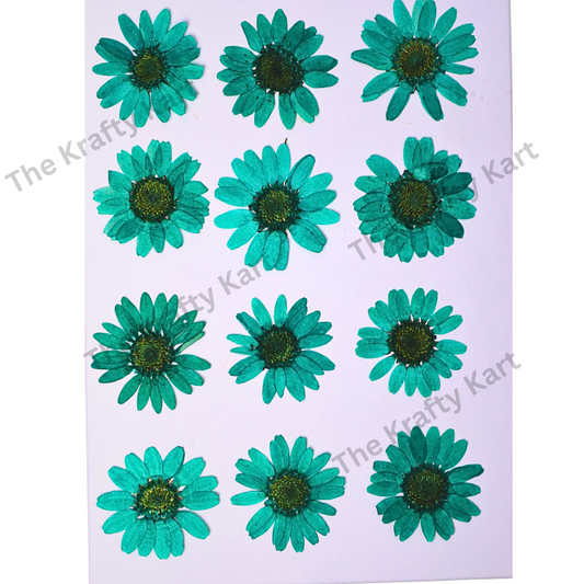 Daisy Flower - Emerald Green