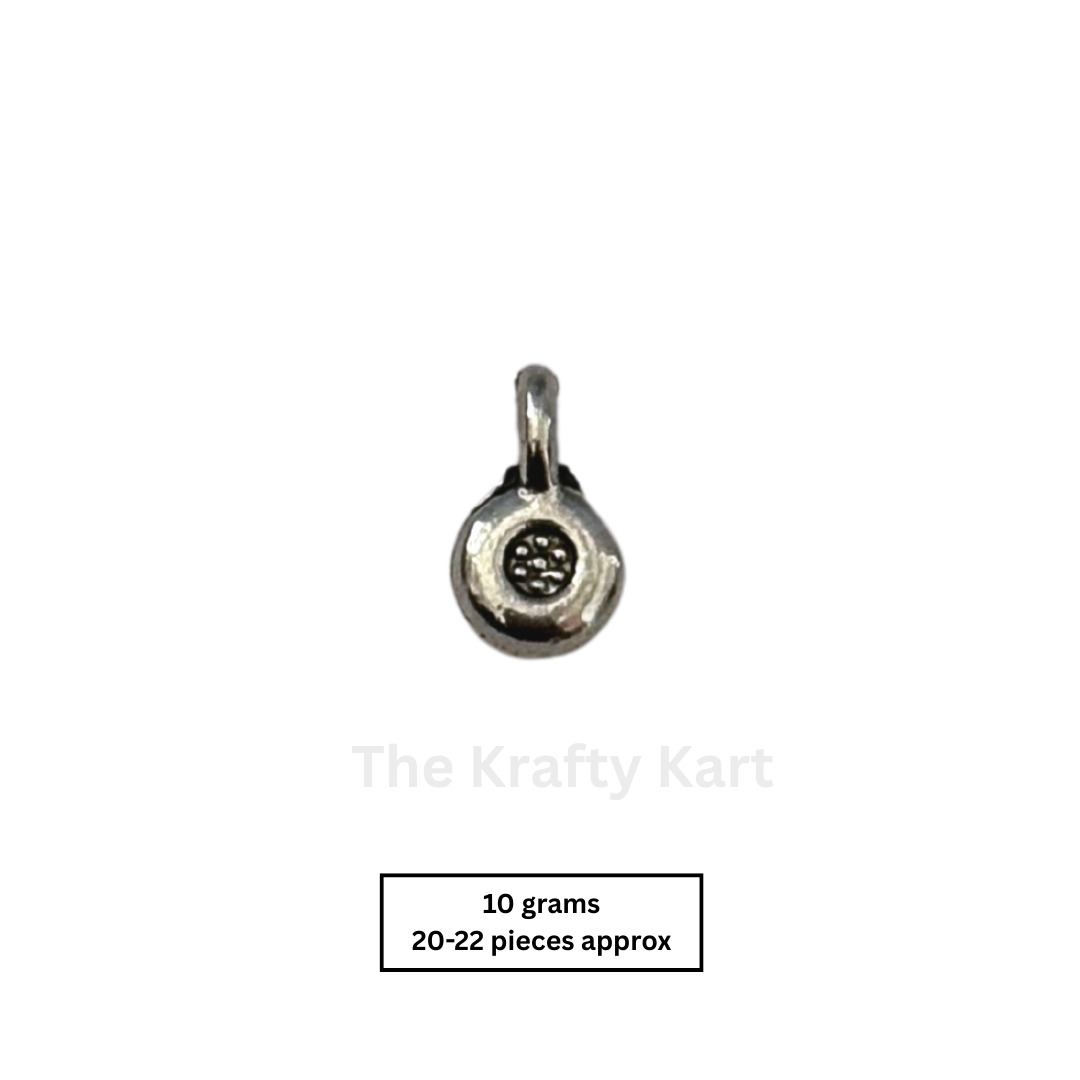 Silver Charm (33)