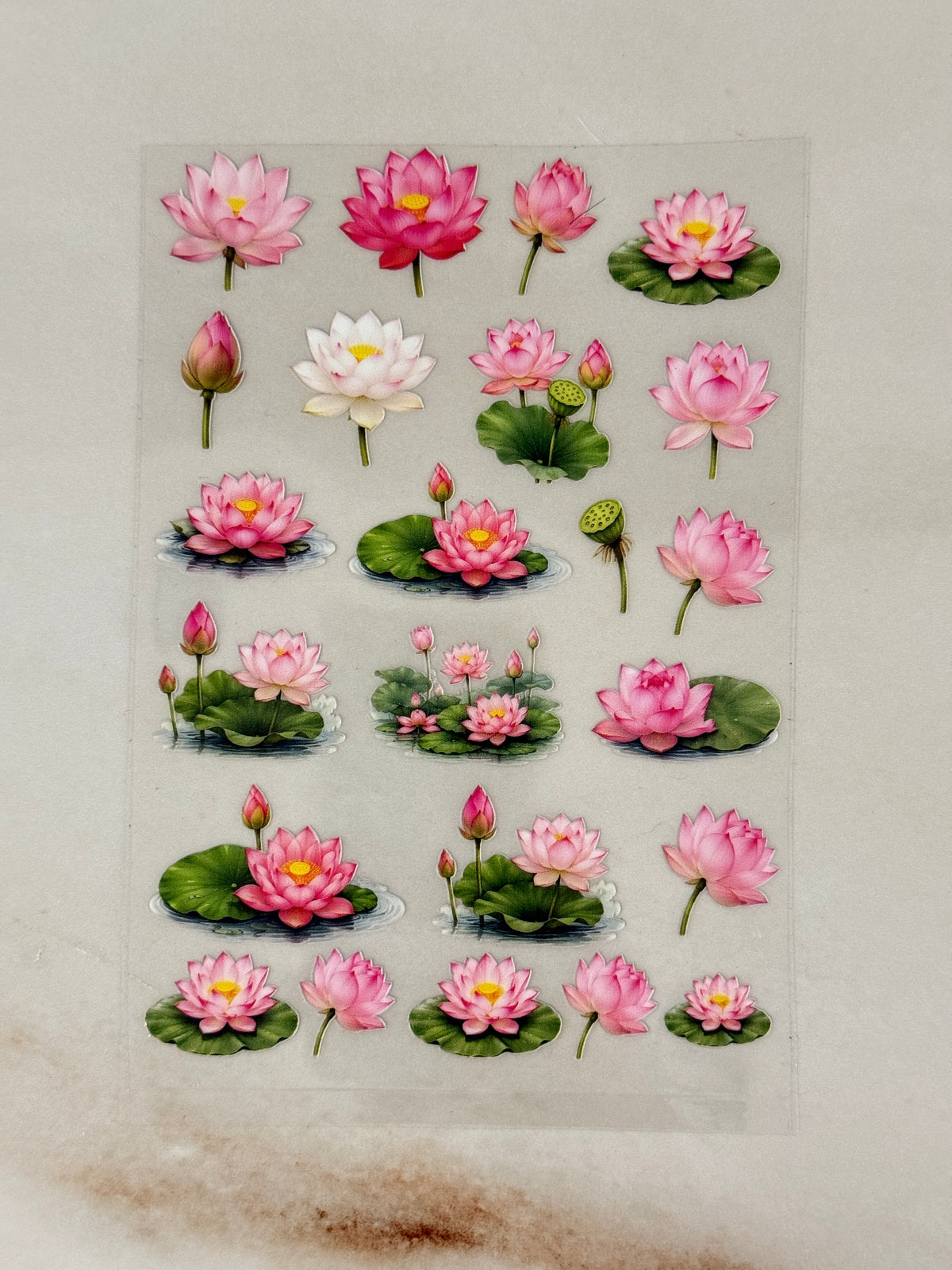 Lotus (V) - Peel Of Sticker