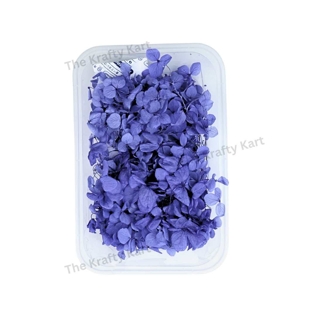 Hydregans Flower Box (English Blue)