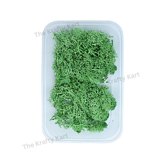 Moss Box