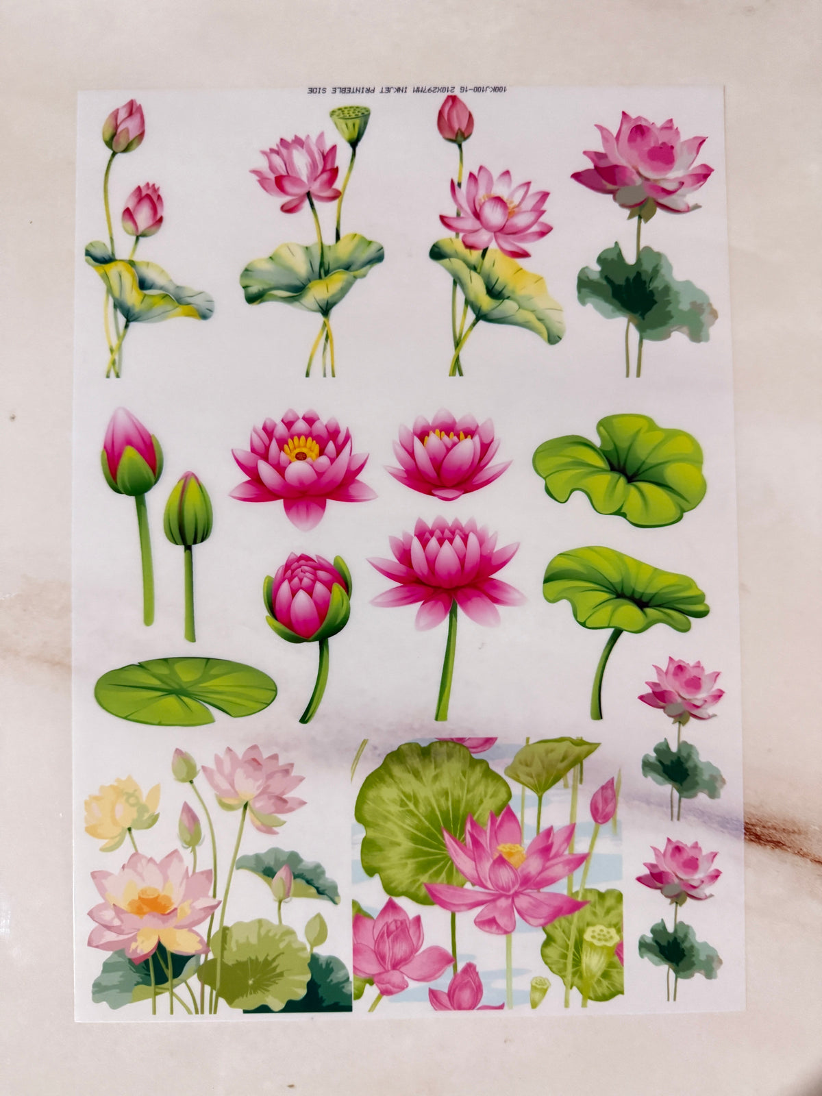 A4 Insert Sheet - Lotus (E)