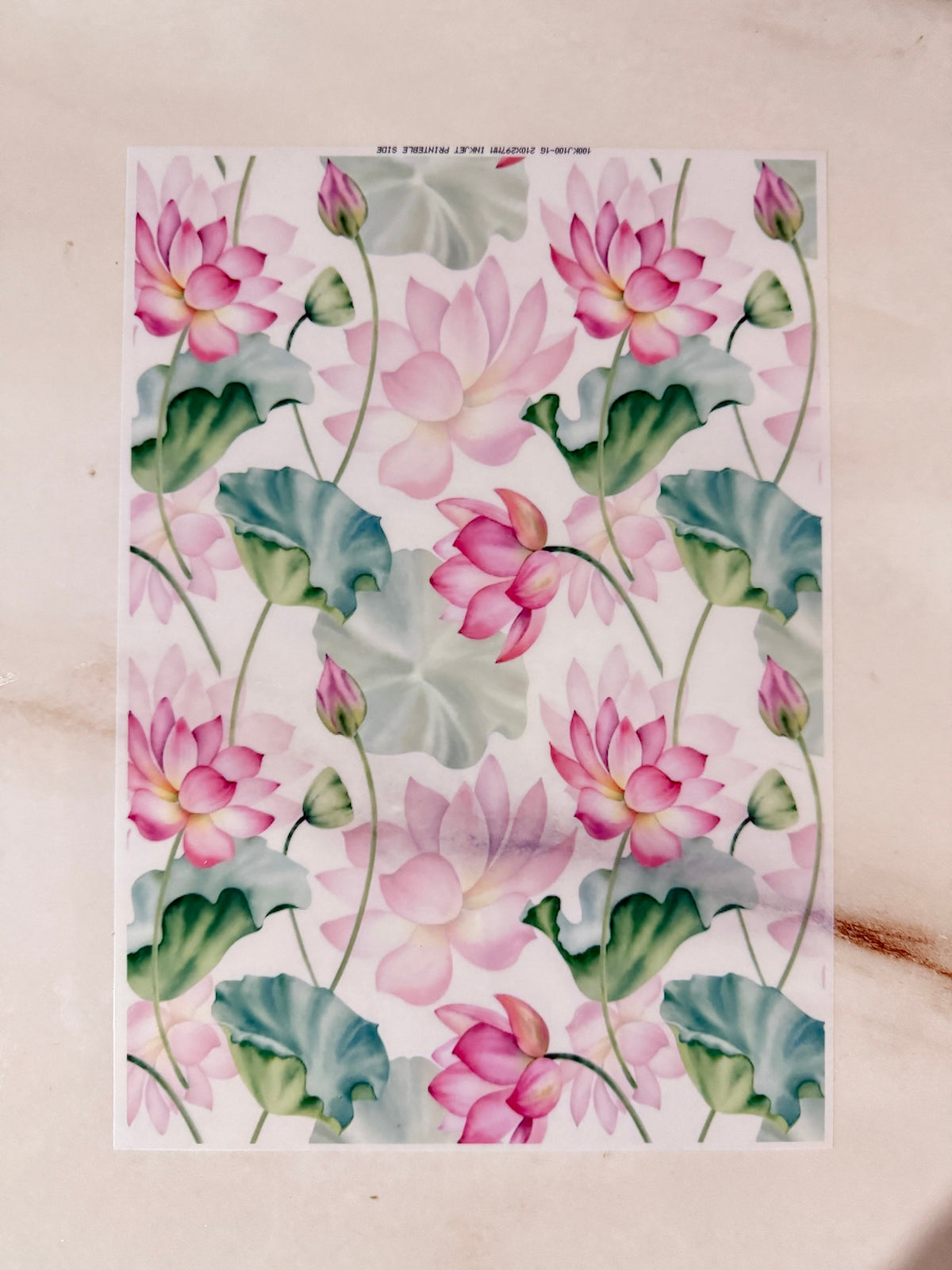 A4 Insert Sheet - Lotus (H)