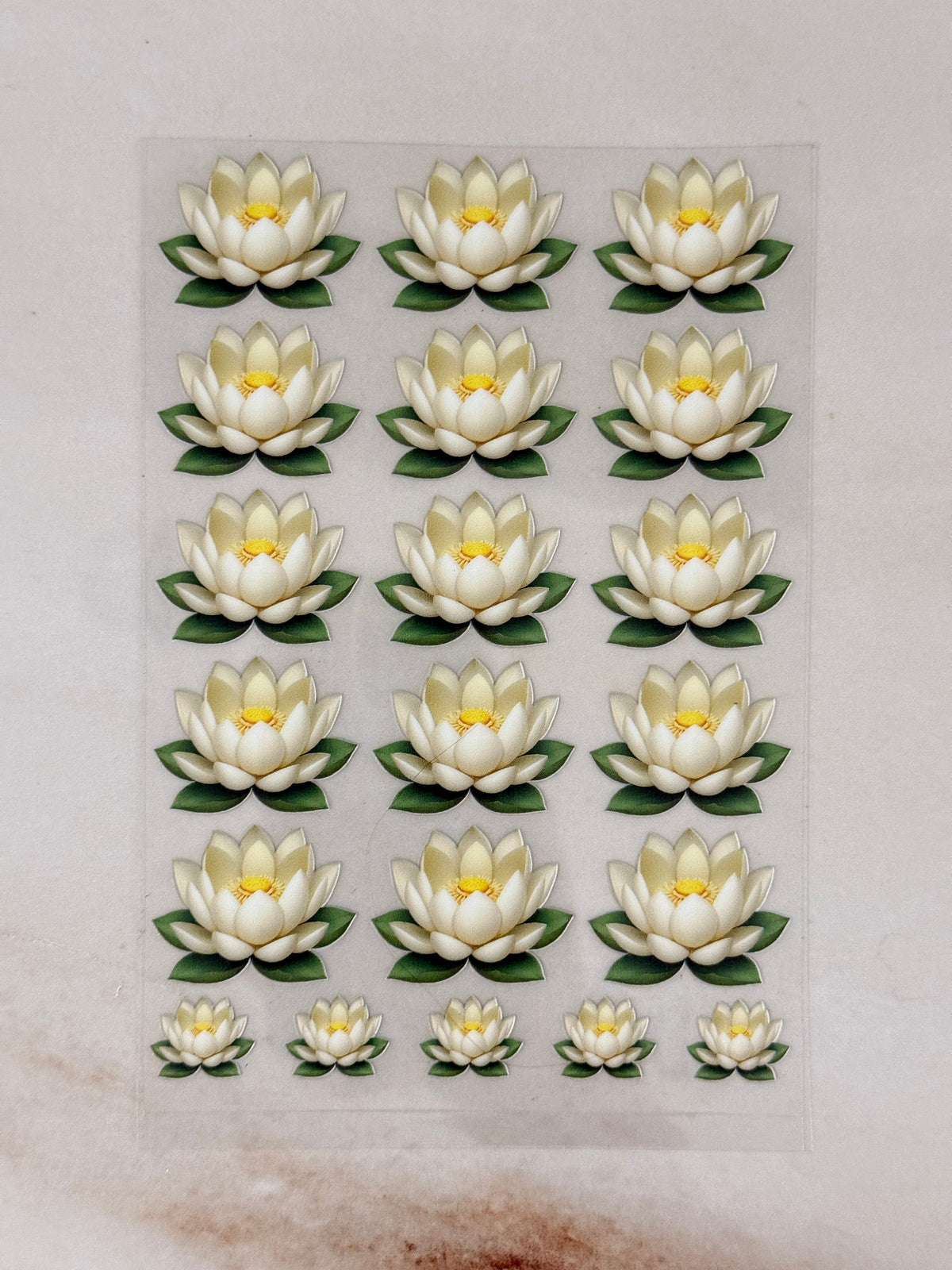 Lotus (Y) - Peel Of Sticker