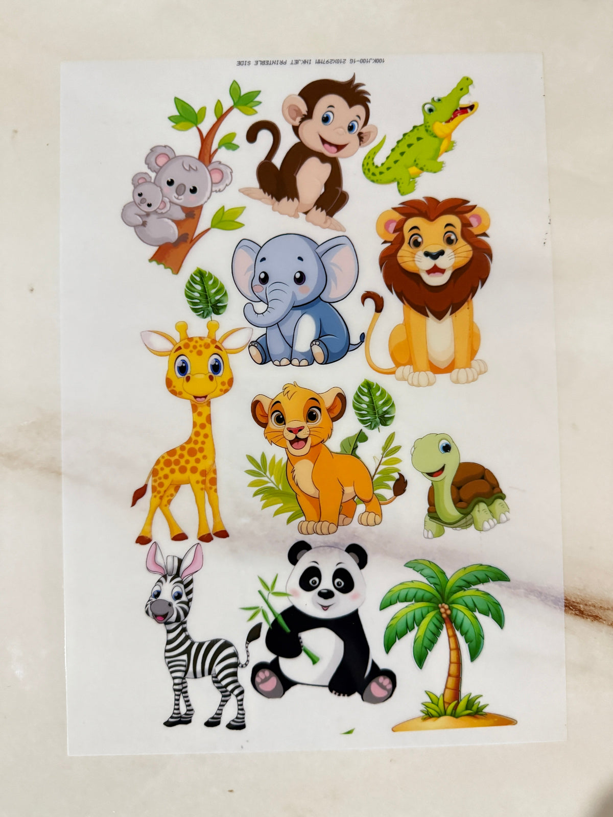 A4 Insert Sheet - Cartoon