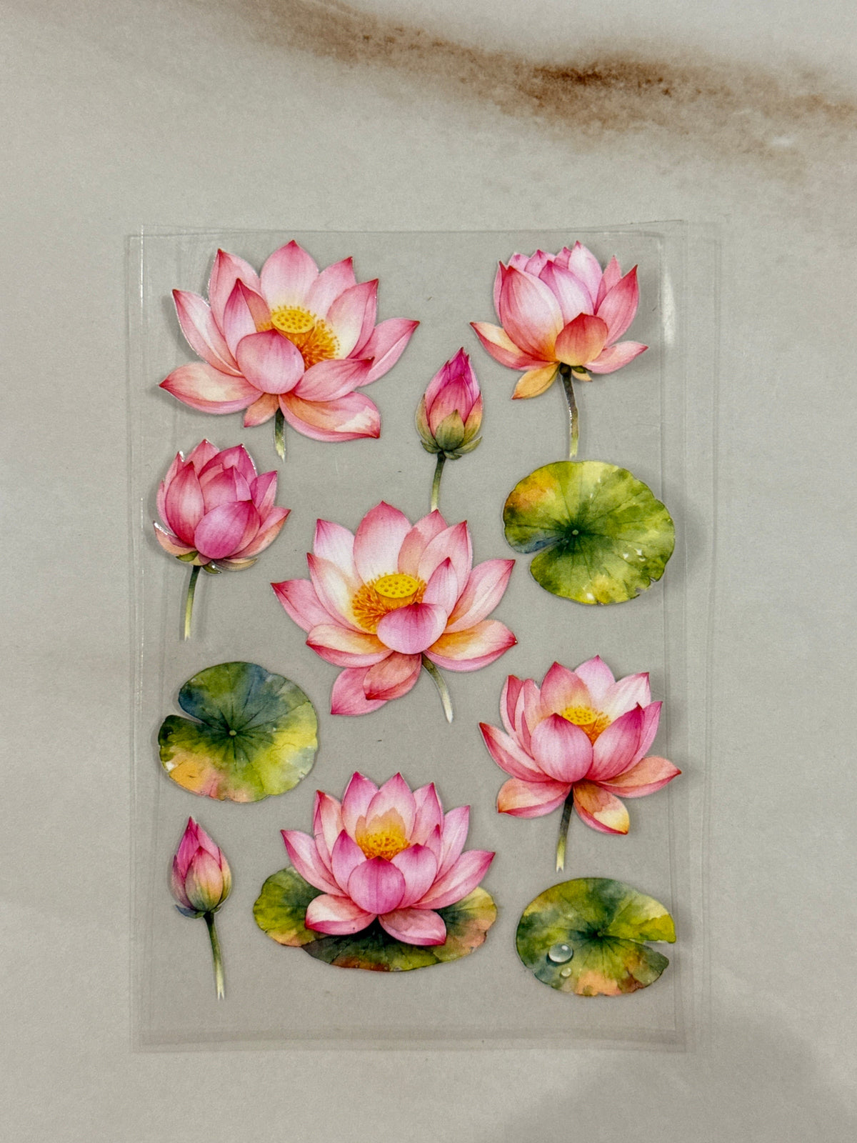 Lotus (Q) - Peel Of Sticker