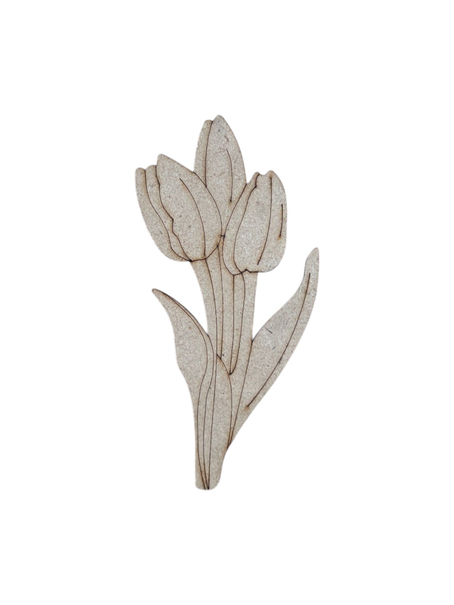 Pre Marked Tulip Mdf
