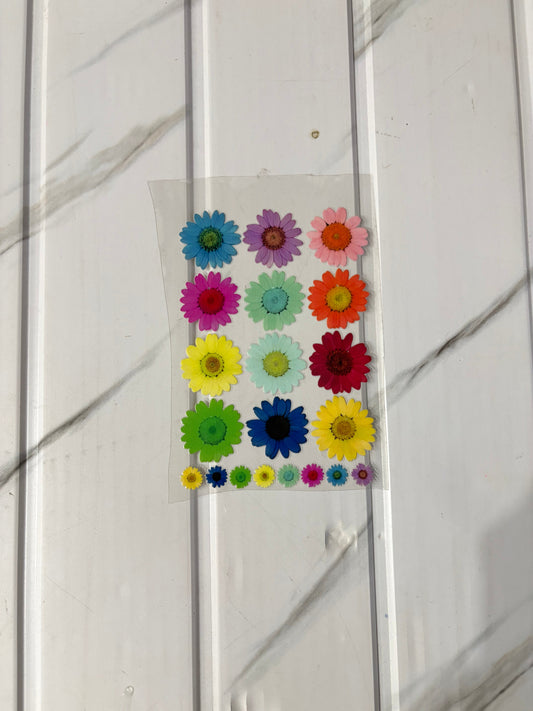 Mix Daisy - Peel Of Sticker