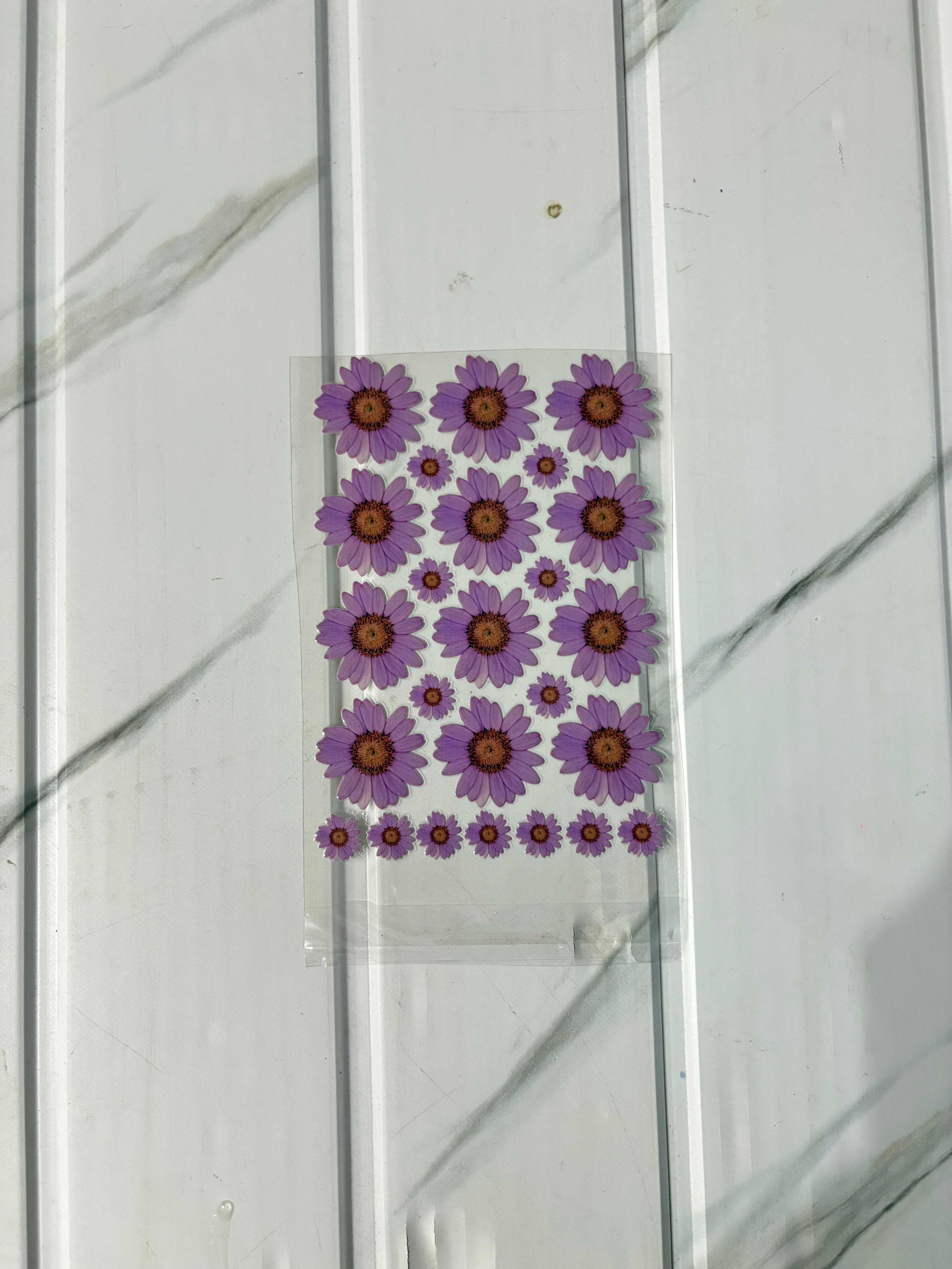Purple Daisy - Peel Of Sticker