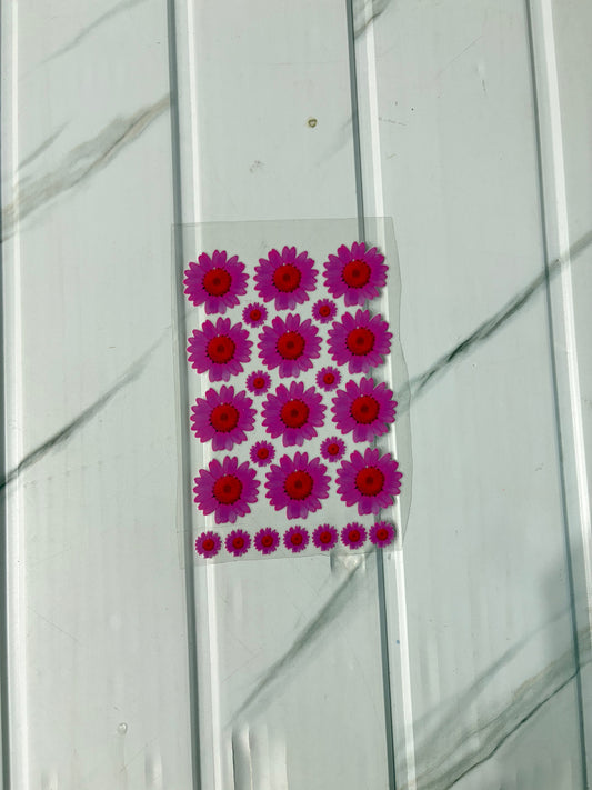 Dark Pink Daisy - Peel Of Sticker