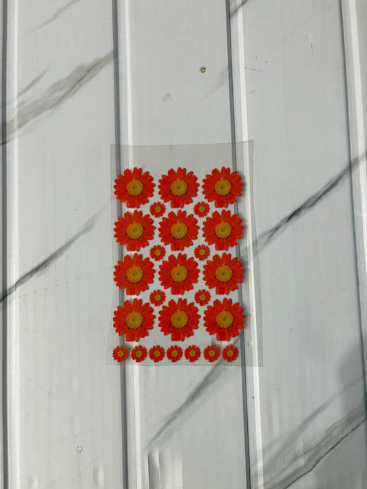 Orange Daisy - Peel Of Sticker