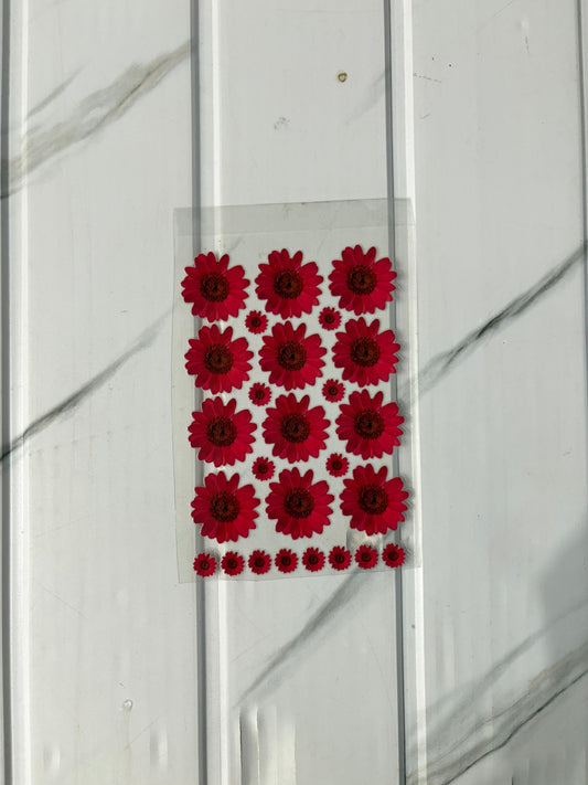 Red Daisy - Peel Of Sticker
