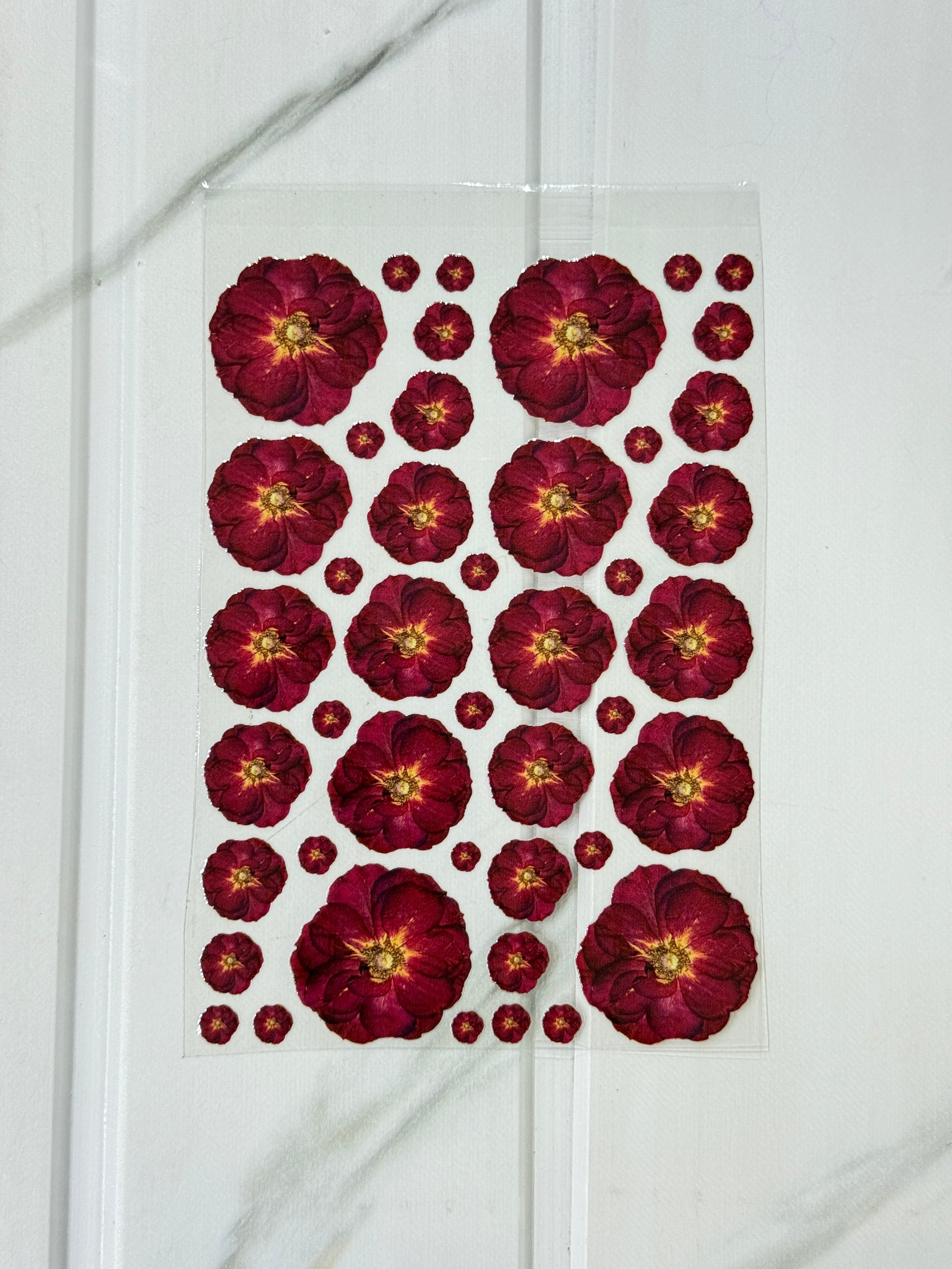 Dried Rose (C) - Peel Of Sticker