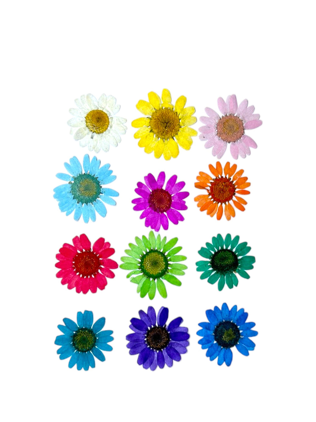 DAISY FLOWER - MIX