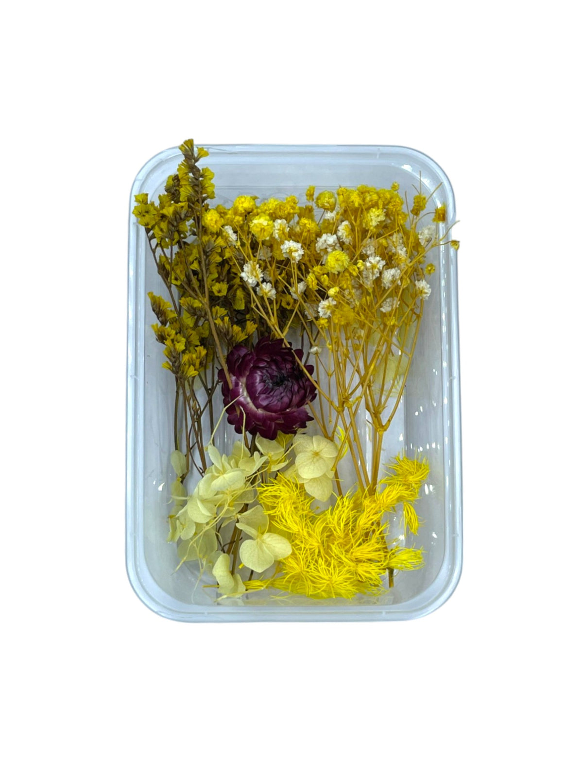 DRY FLOWER BOX (B)