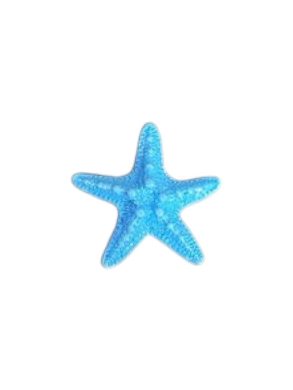 STARFISH MINIATURE