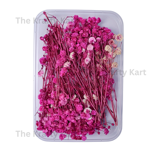Gypsy Dry Flower Box (Pink)